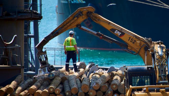 Sáu công nhân phải nhập viện sau sự cố tại cảng Napier
